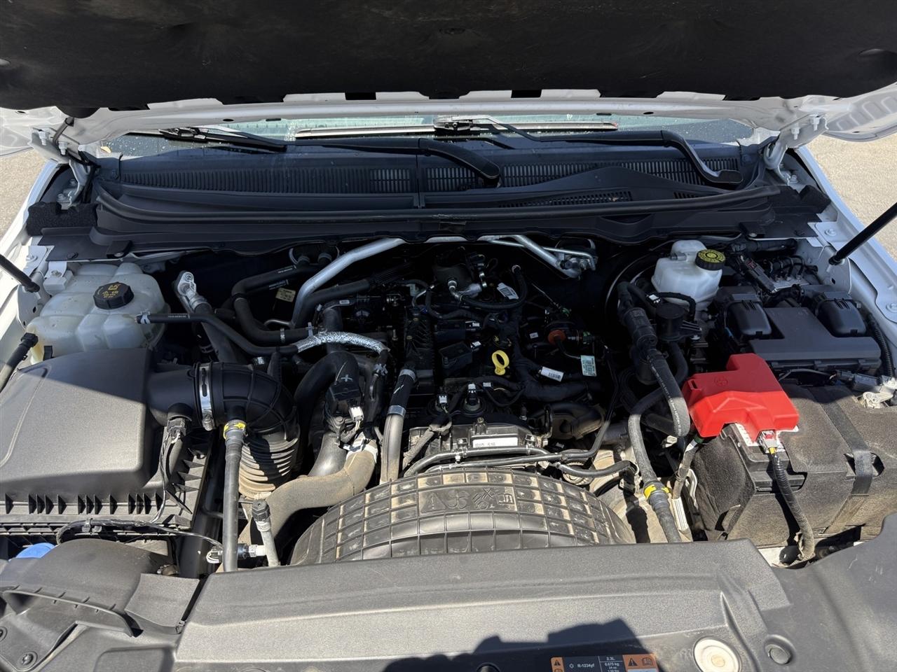 Ford Ranger XL 2021