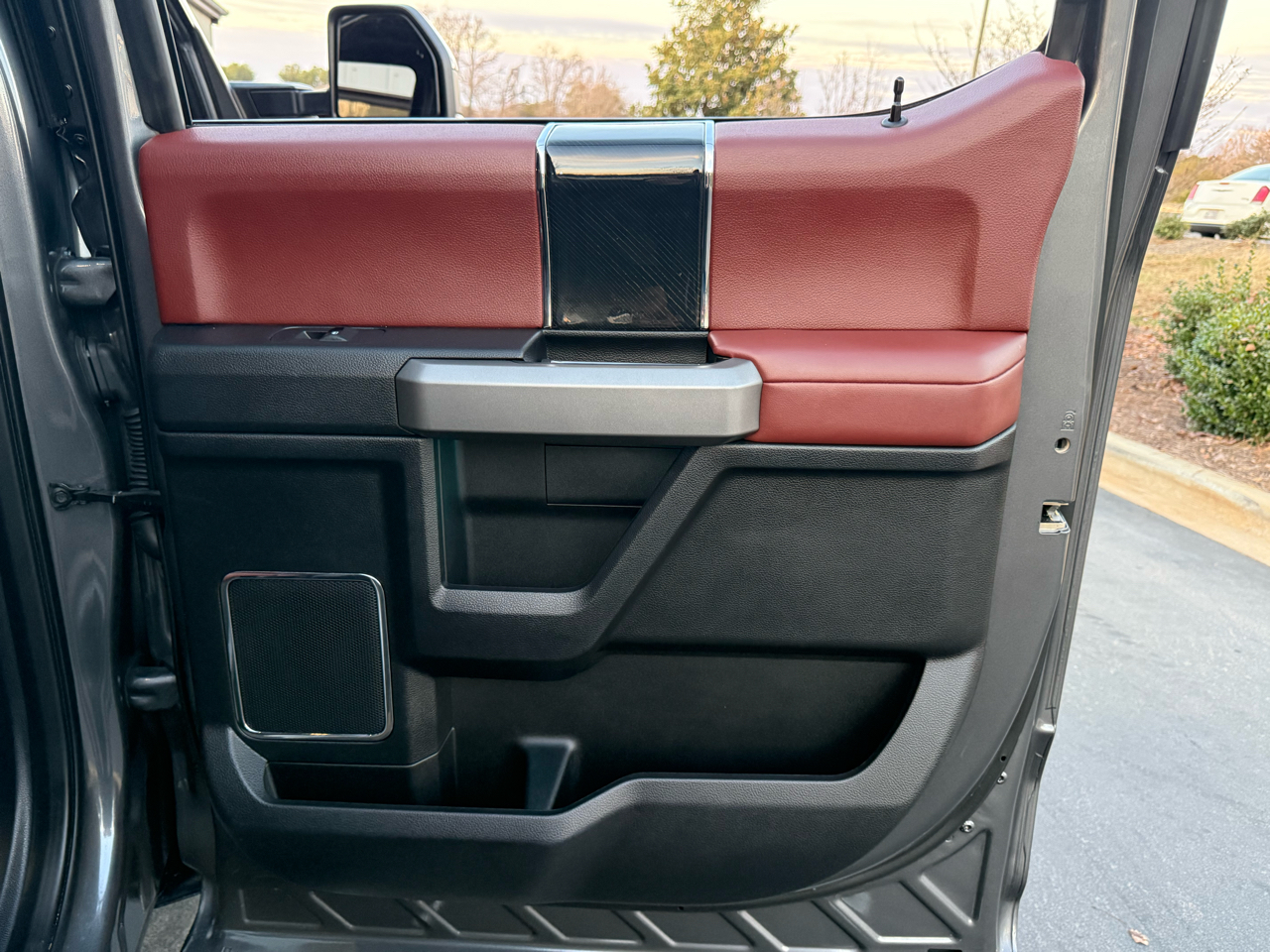 Ford F-250 SD Platinum Crew Cab 4WD 2021