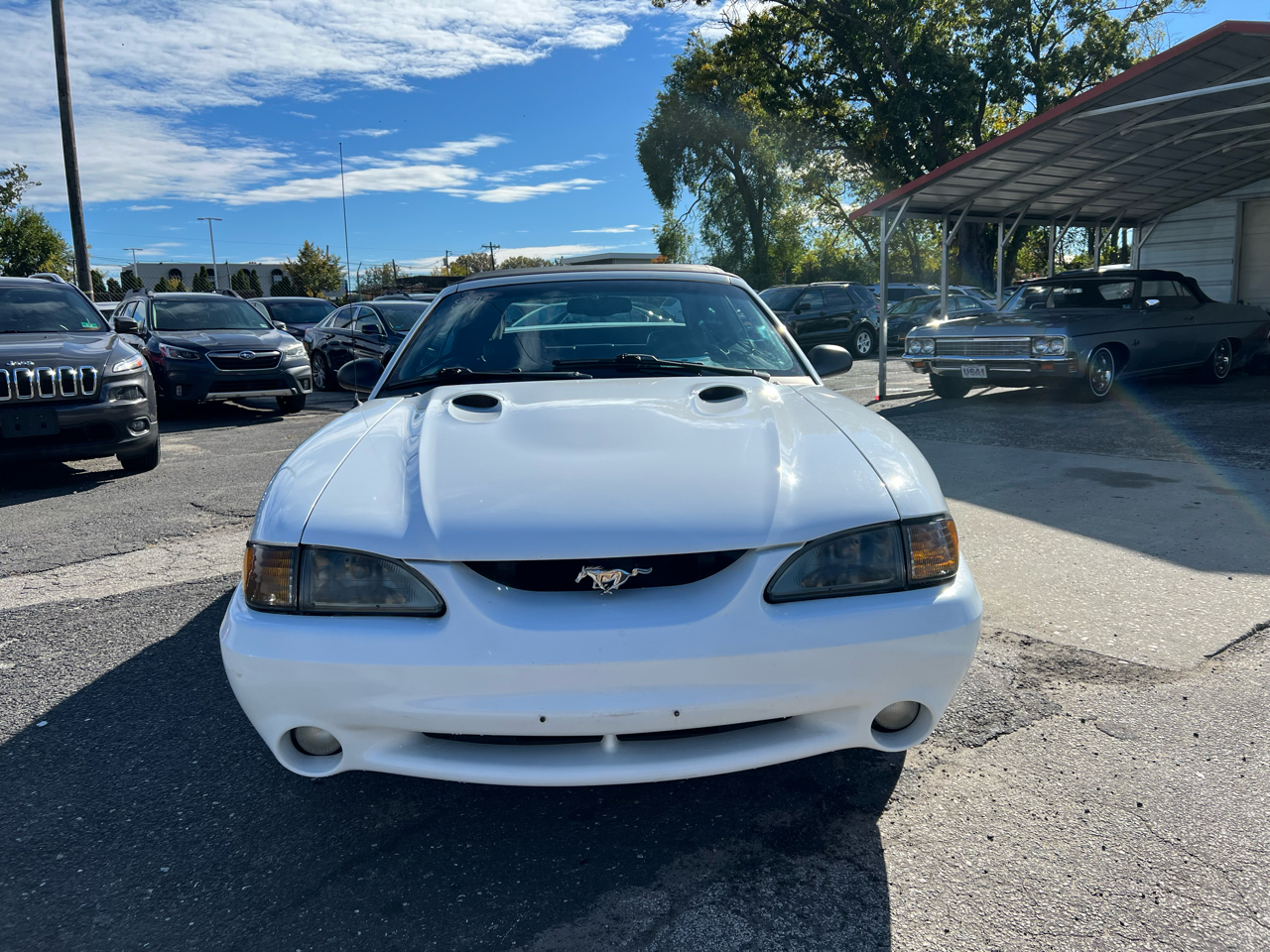 Ford Mustang Cobra Convertible 1998 Ford Mustang Cobra Convertible 1998