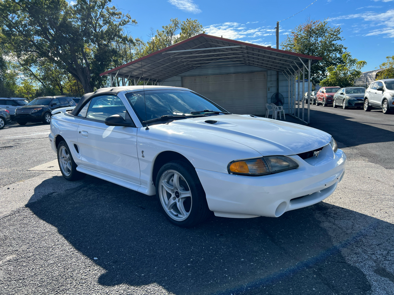 Ford Mustang Cobra Convertible 1998 Ford Mustang Cobra Convertible 1998