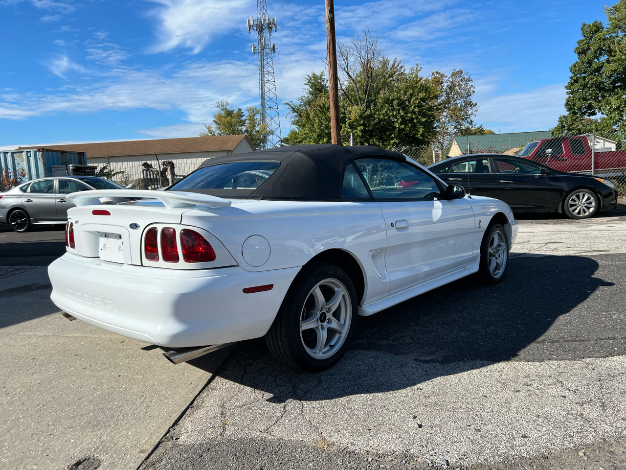 Ford Mustang Cobra Convertible 1998 Ford Mustang Cobra Convertible 1998