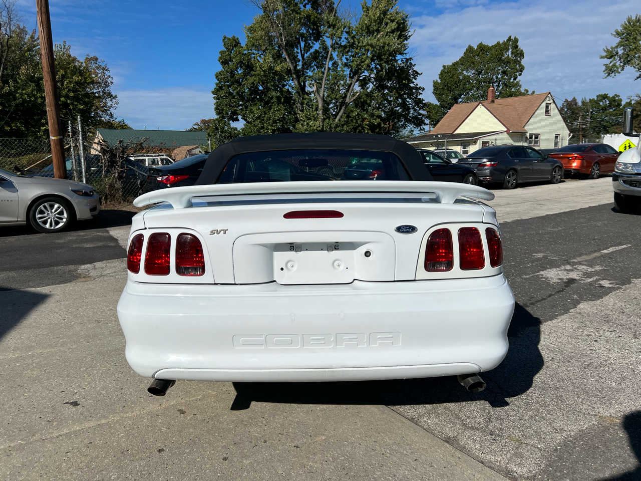 Ford Mustang Cobra Convertible 1998 Ford Mustang Cobra Convertible 1998