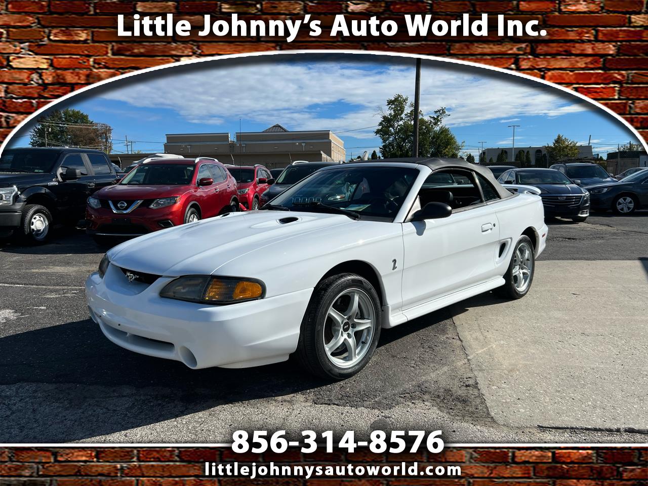 Ford Mustang Cobra Convertible 1998 Ford Mustang Cobra Convertible 1998