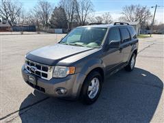 2010 Ford Escape 