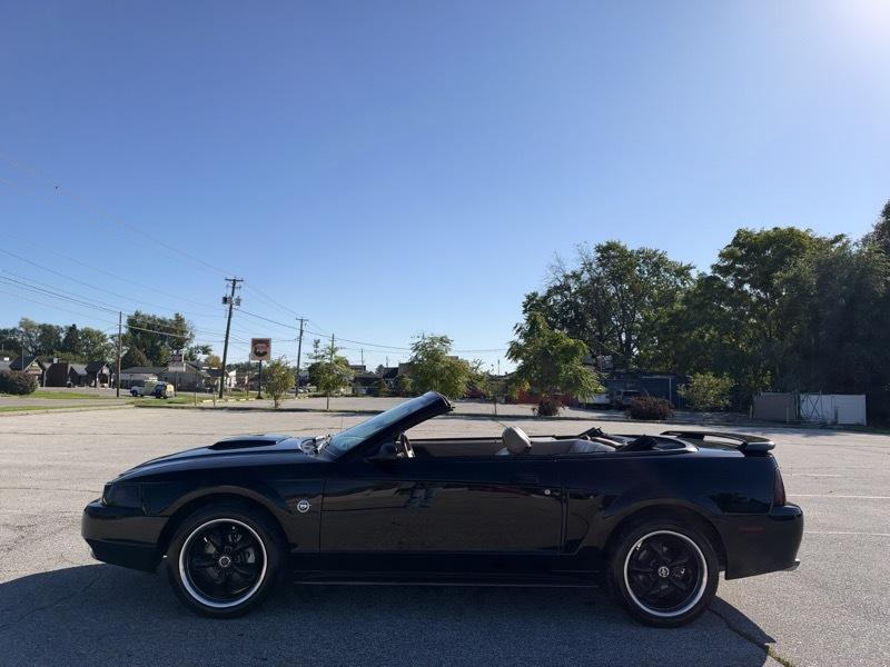 Ford Mustang GT Deluxe Convertible 2004