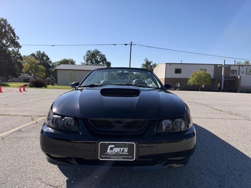 Ford Mustang GT Deluxe Convertible 2004