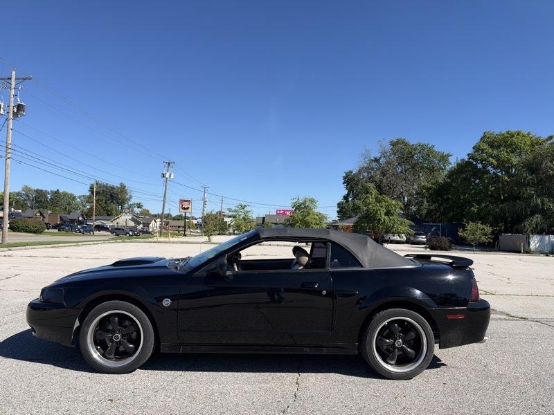 Ford Mustang GT Deluxe Convertible 2004