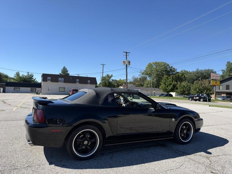 Ford Mustang GT Deluxe Convertible 2004