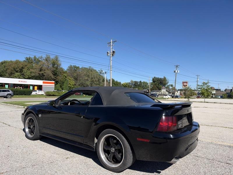 Ford Mustang GT Deluxe Convertible 2004