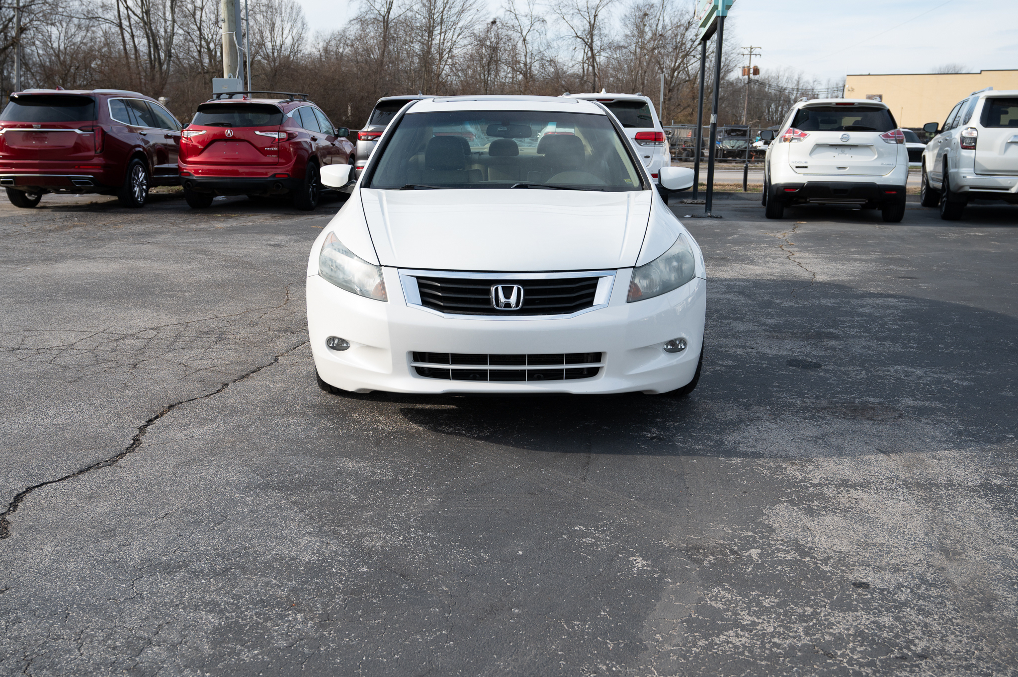 Honda Accord EX-L V-6 Sedan AT 2008