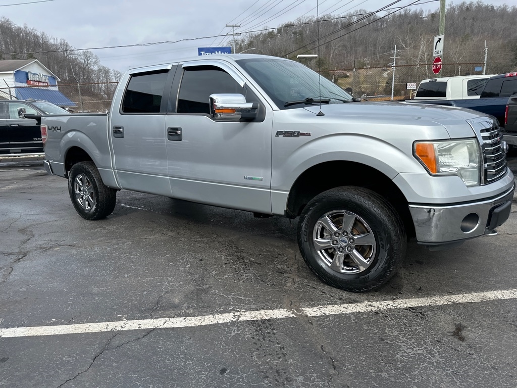 Ford F-150 4WD SuperCrew 145" Platinum 2011