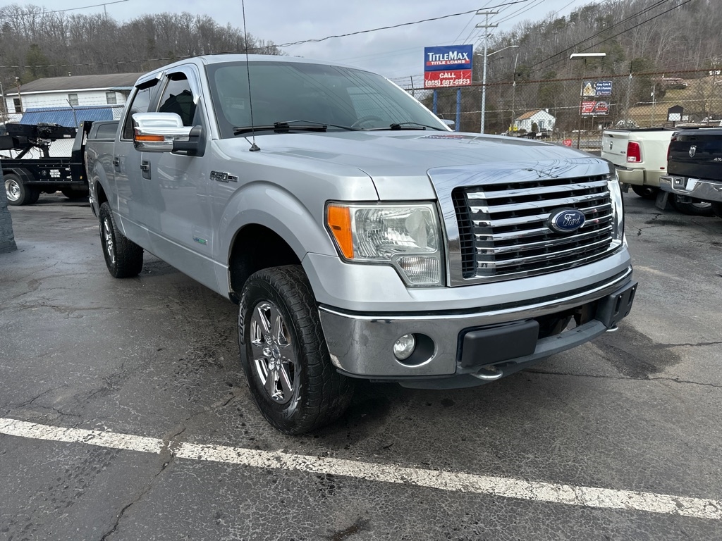 Ford F-150 4WD SuperCrew 145" Platinum 2011