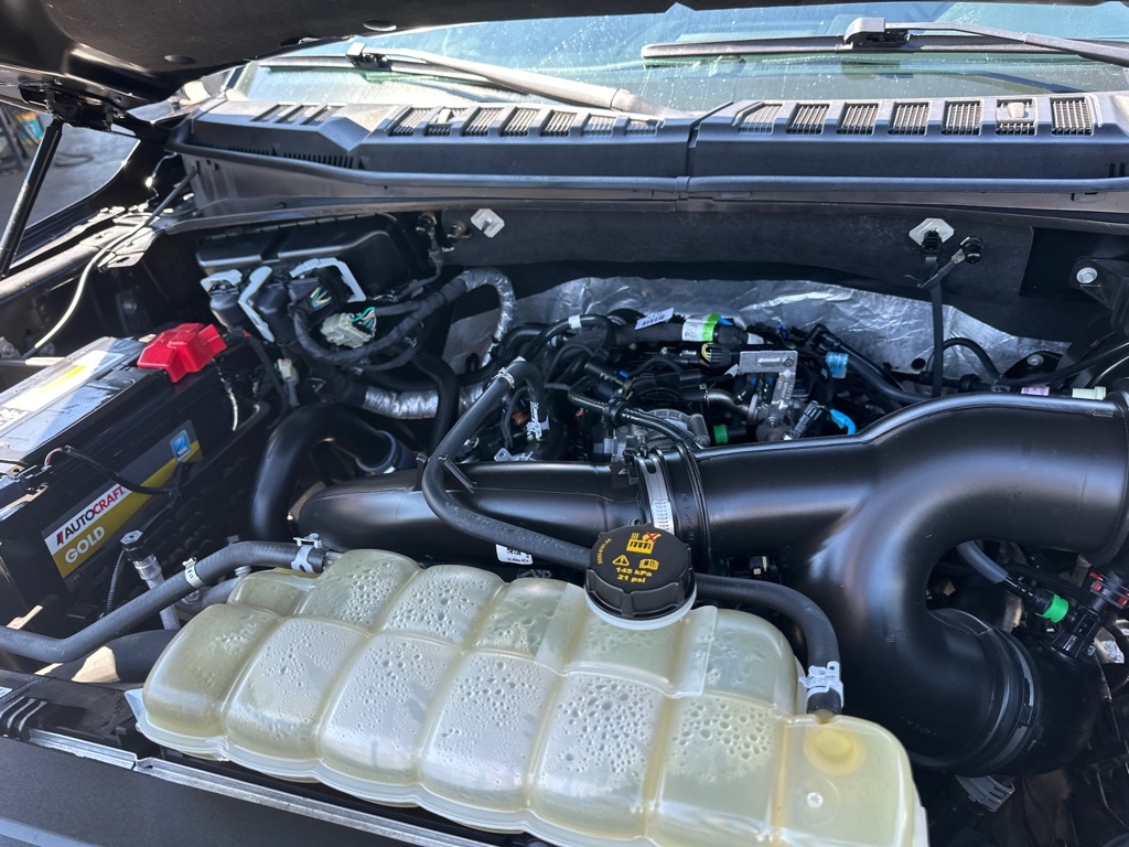 Ford F-150 XLT 4WD SuperCrew 5.5' Box 2019