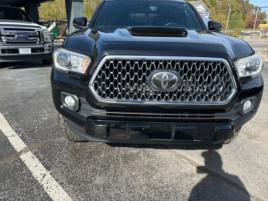 Toyota Tacoma 4WD TRD Off Road Double Cab 6' Bed V6 AT (Natl) 2019 Toyota Tacoma 4WD TRD Off Road Double Cab 6' Bed V6 AT (Natl) 2019