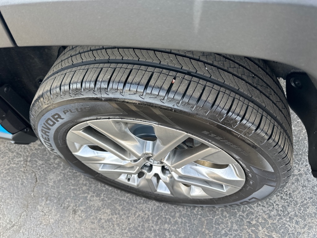 Toyota RAV4 XLE Premium AWD (Natl) 2019