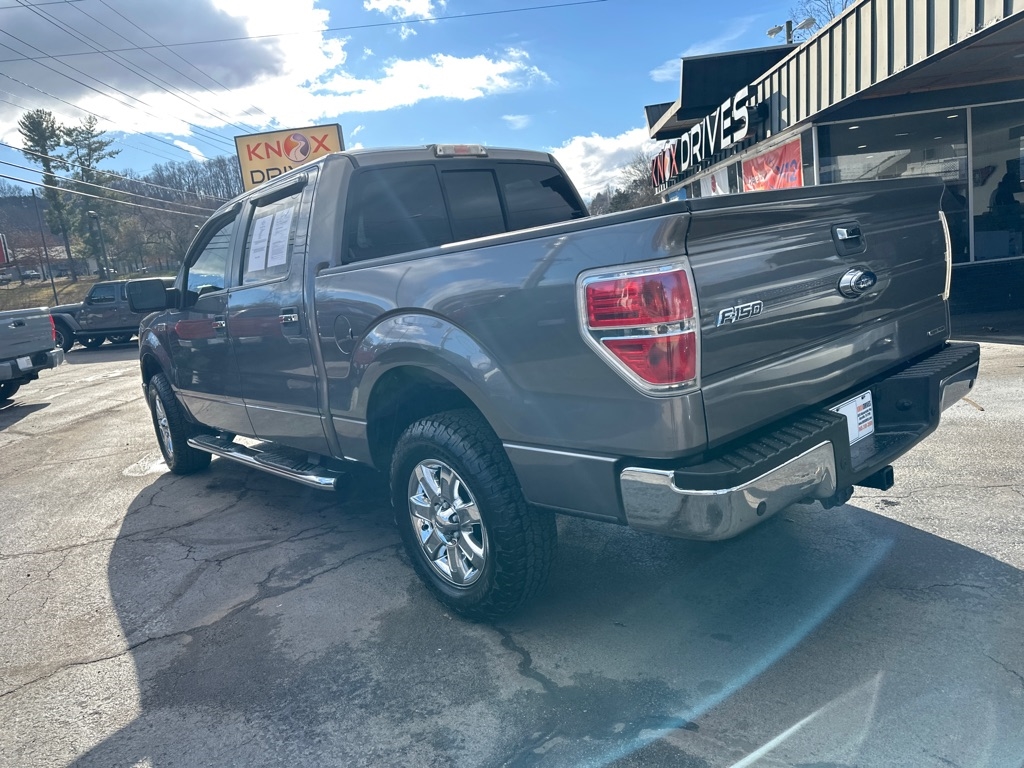 Ford F-150 4WD SuperCrew 145" Platinum 2013