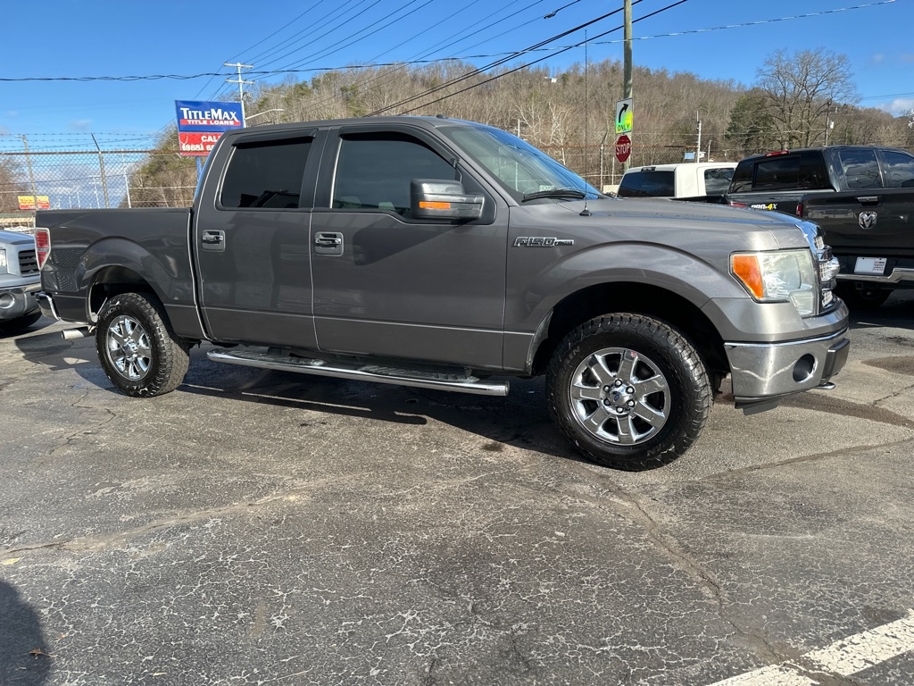 Ford F-150 4WD SuperCrew 145" Platinum 2013