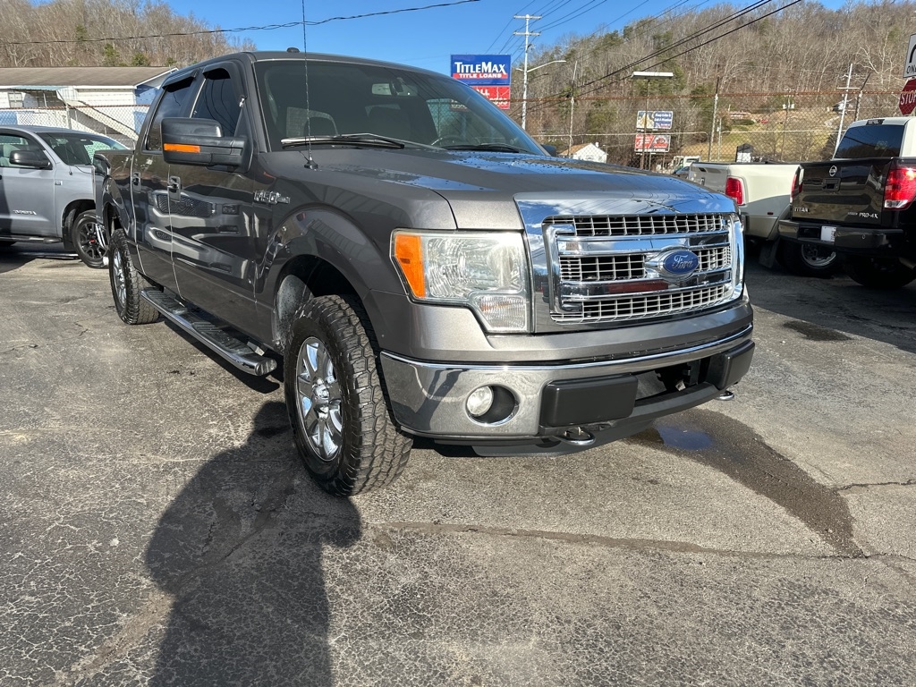 Ford F-150 4WD SuperCrew 145" Platinum 2013