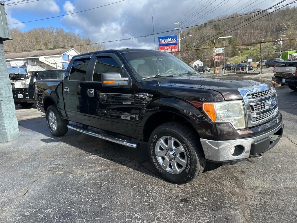 Ford F-150 4WD SuperCrew 145" Platinum 2013