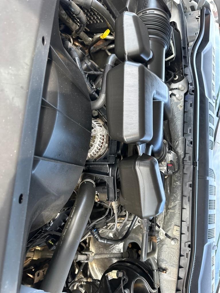 Ford Super Duty F-250 SRW XLT 4WD Reg Cab 8' Box 2019