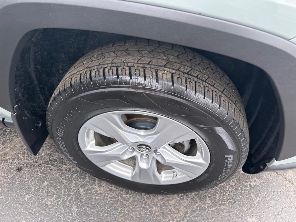 Toyota RAV4 XLE AWD (Natl) 2019