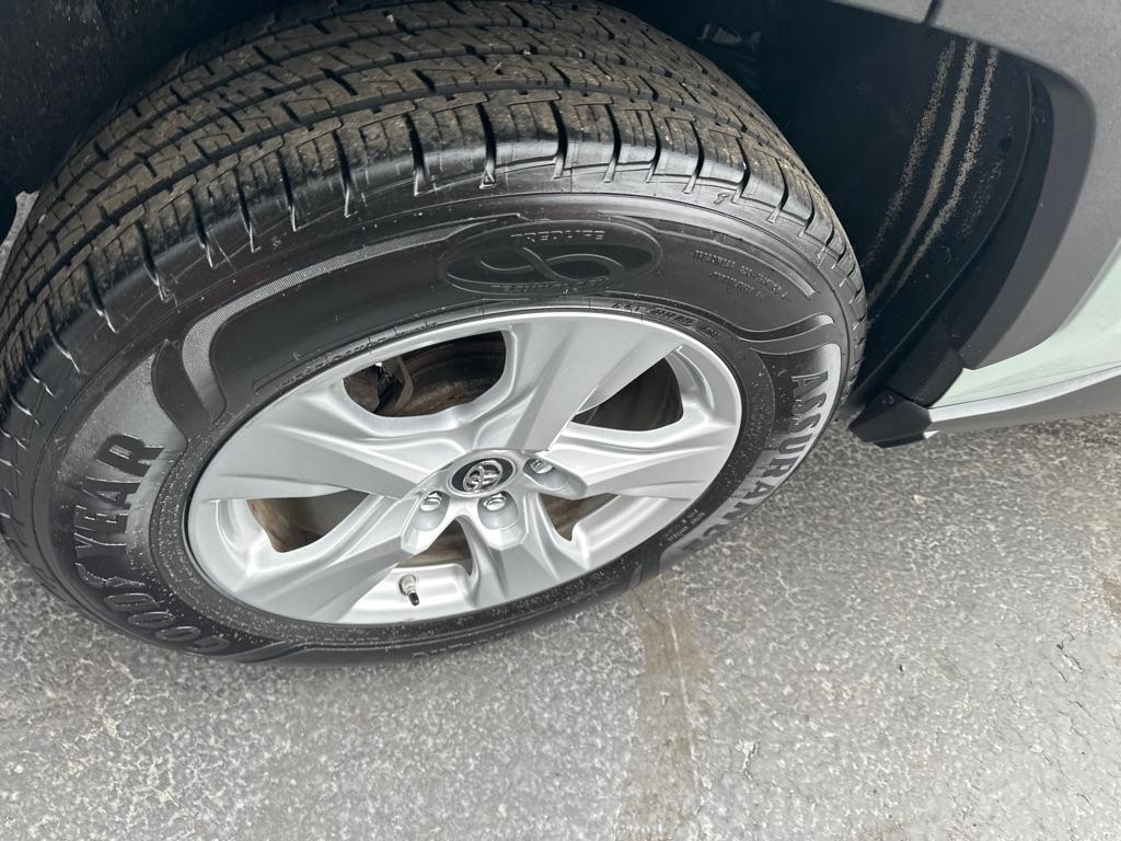 Toyota RAV4 XLE AWD (Natl) 2019