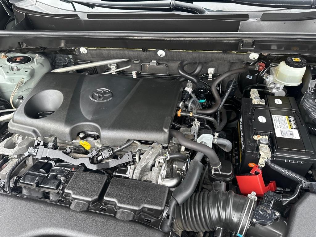 Toyota RAV4 XLE AWD (Natl) 2019