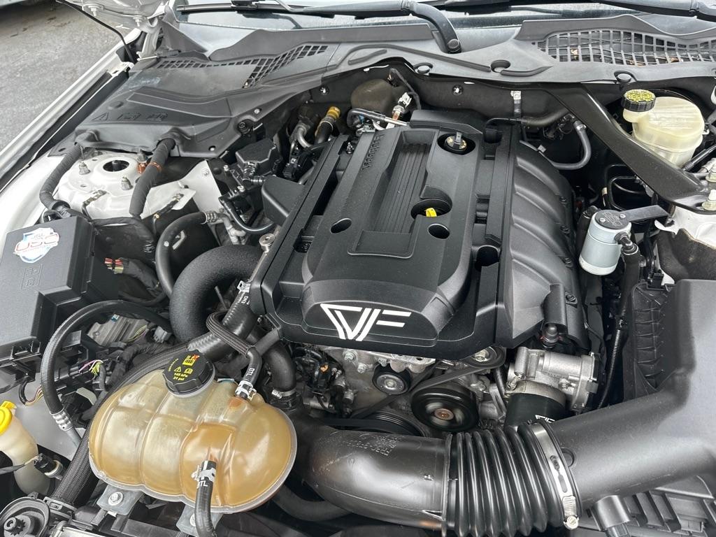 Ford Mustang EcoBoost Fastback 2017