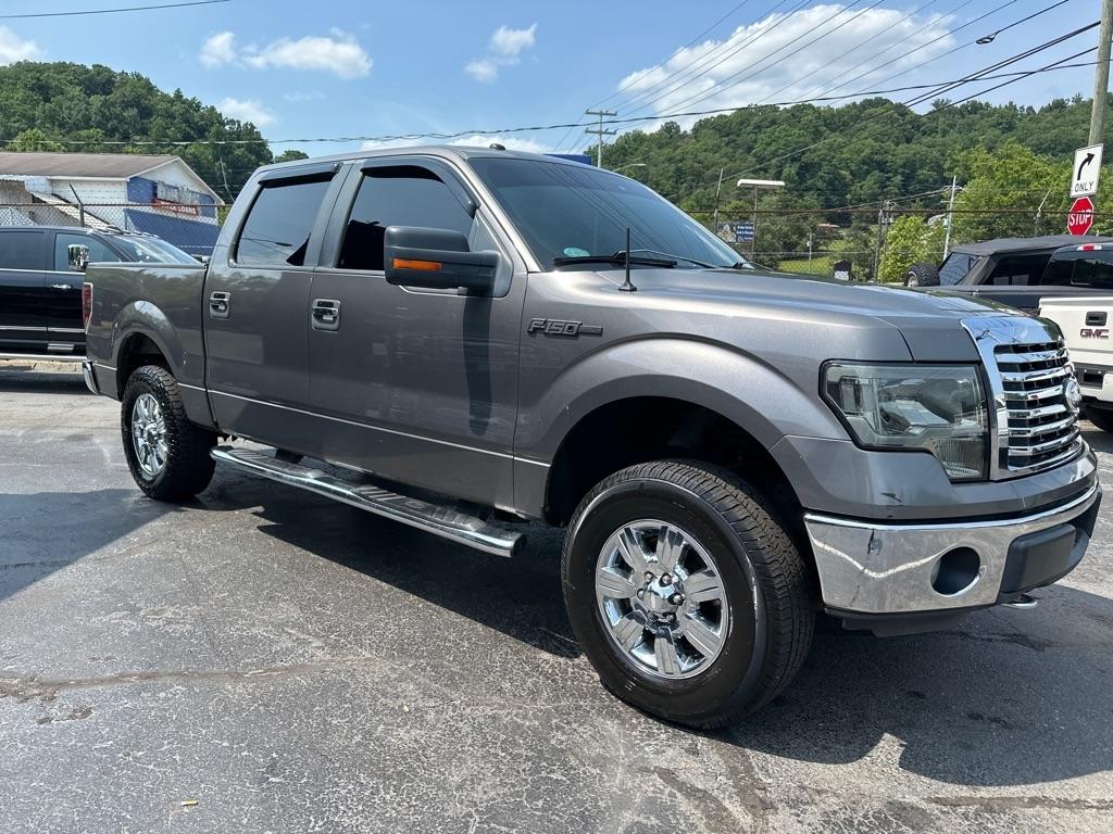 Ford F-150 4WD SuperCrew 145" Platinum 2011