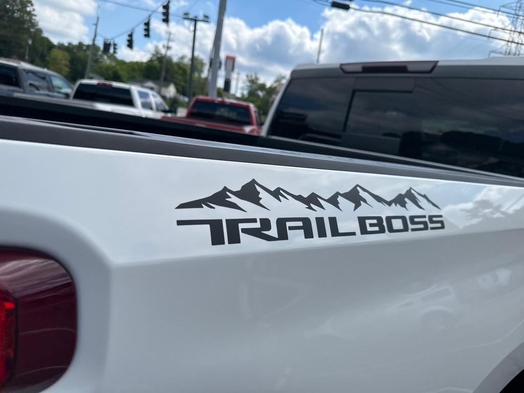 Chevrolet Silverado 1500 4WD Crew Cab 147" LT Trail Boss 2020