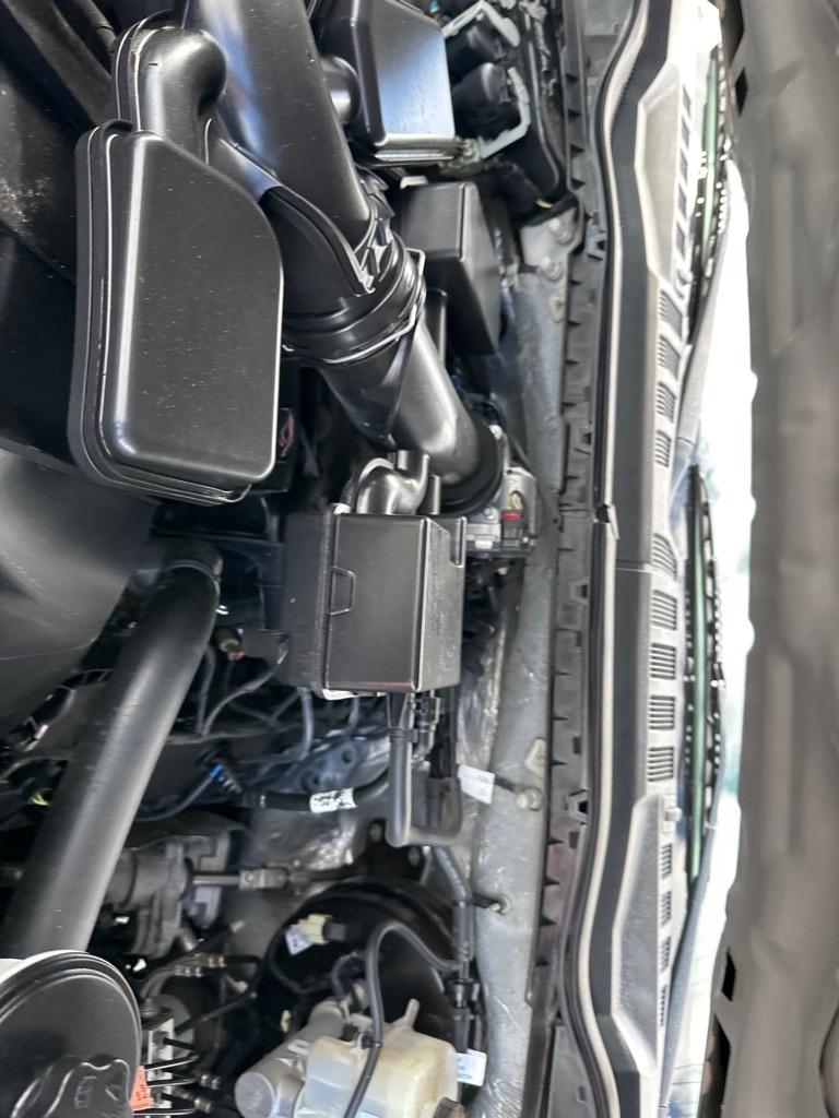 Ford Super Duty F-250 SRW King Ranch 4WD Crew Cab 8' Box 2020