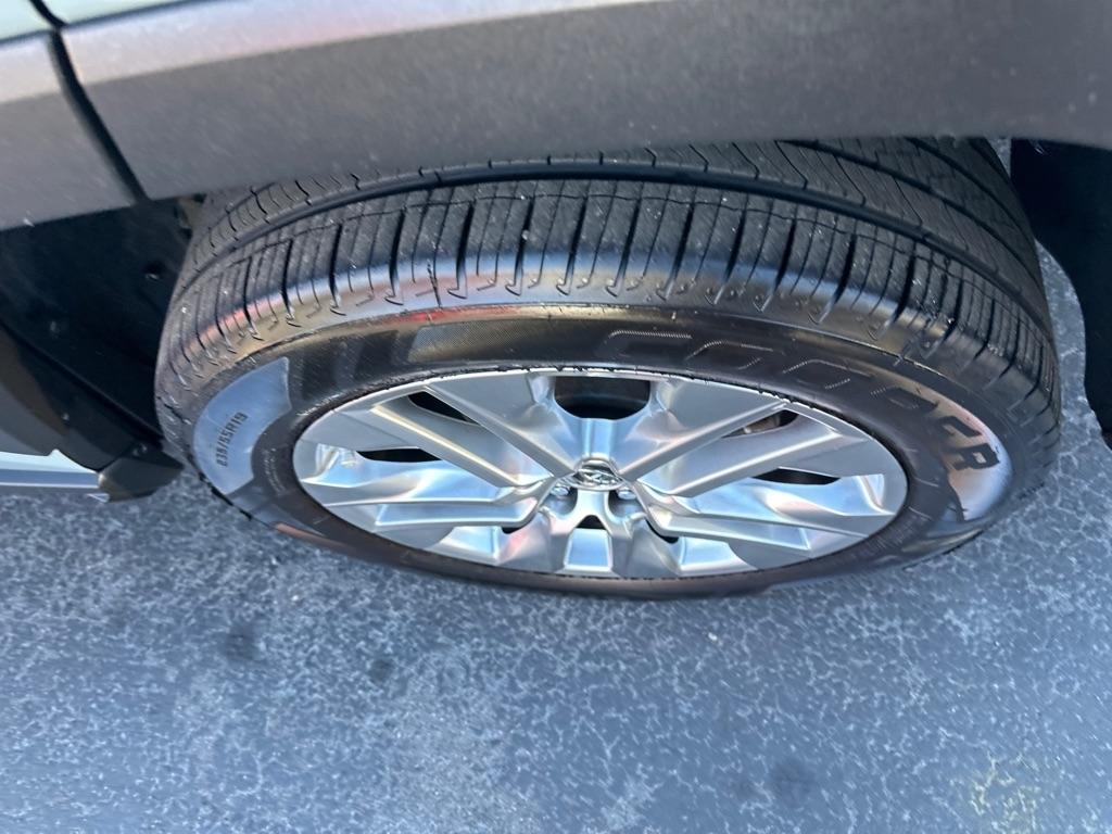 Toyota RAV4 XLE AWD (Natl) 2019