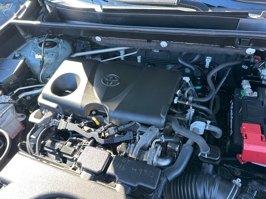 Toyota RAV4 XLE AWD (Natl) 2019