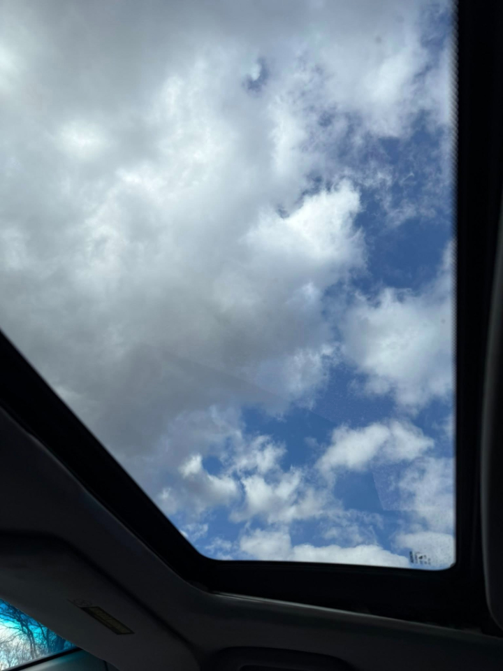 Honda Civic Si 6-Spd 2006