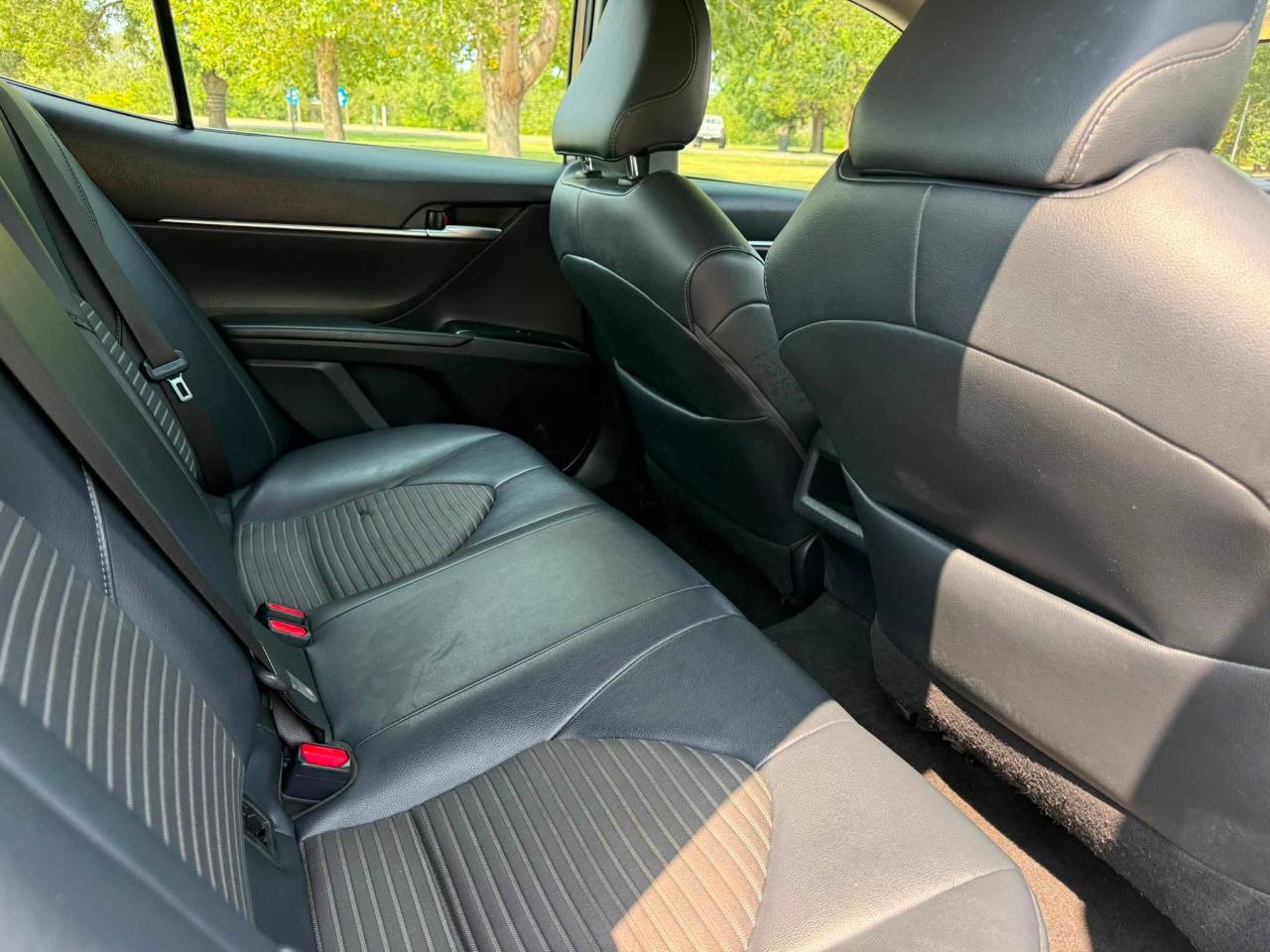 Toyota Camry XLE 2019