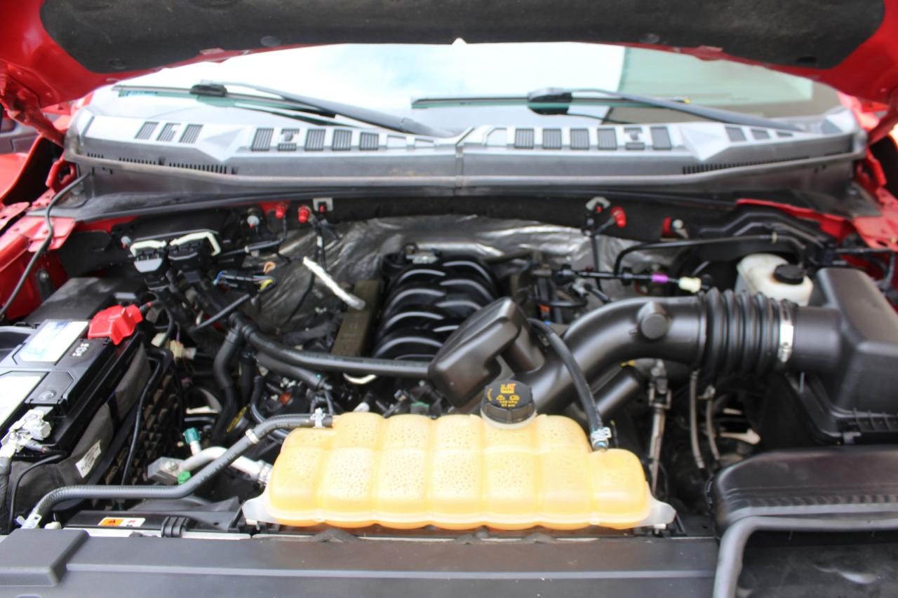 Ford F-150 XLT SuperCrew 5.5-ft. Bed 4WD 2017