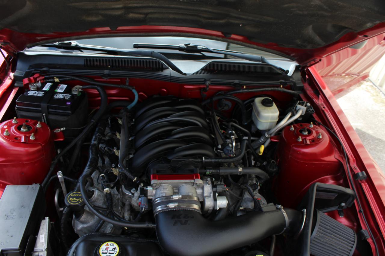 Ford Mustang GT Deluxe Coupe 2008