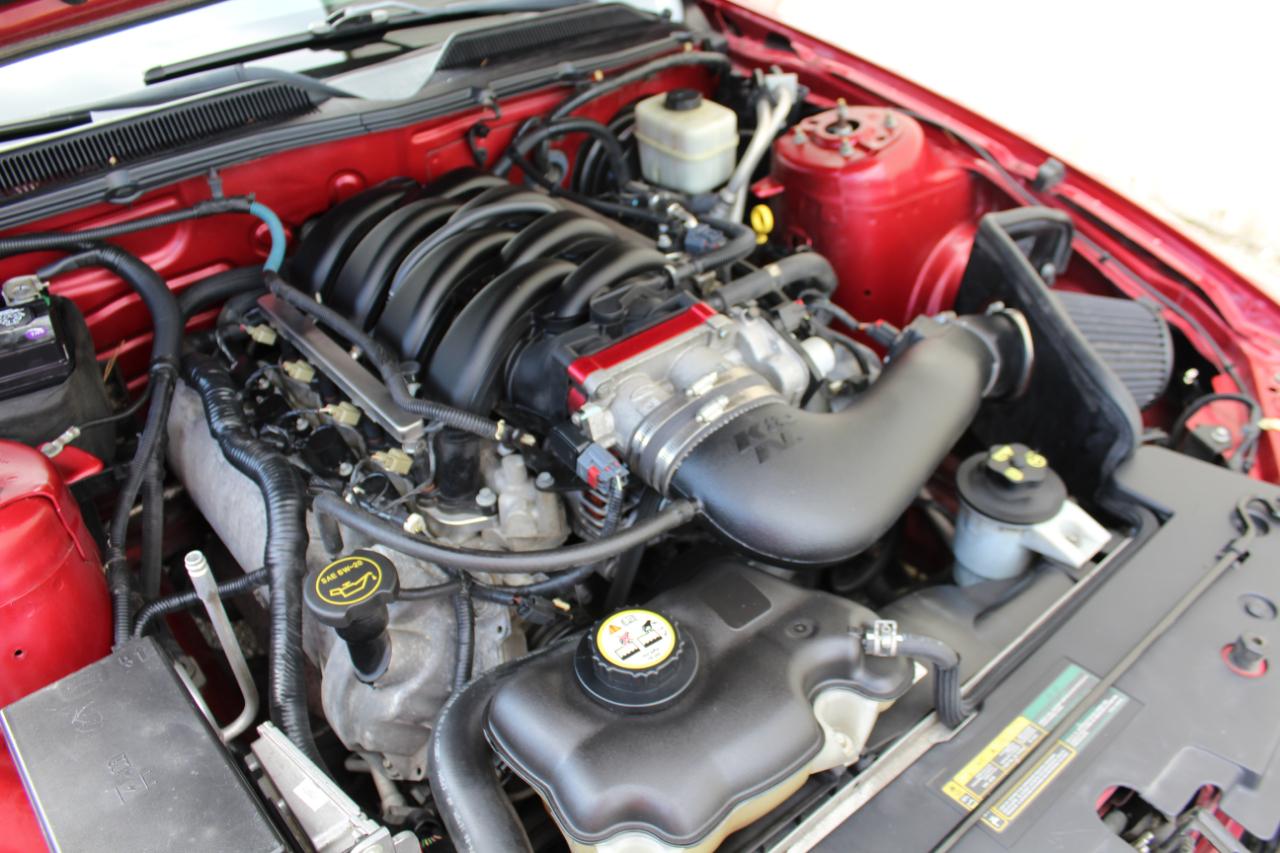 Ford Mustang GT Deluxe Coupe 2008