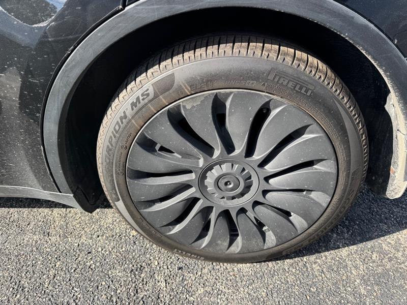 Tesla Model Y  2021