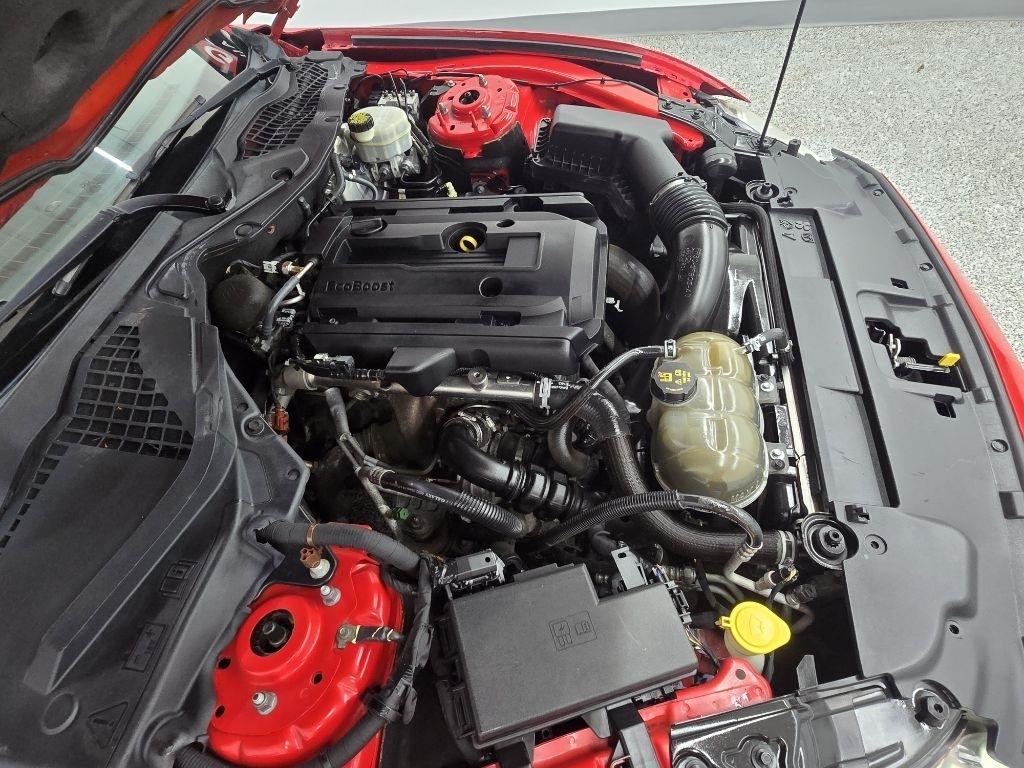 Ford Mustang EcoBoost Coupe 2018