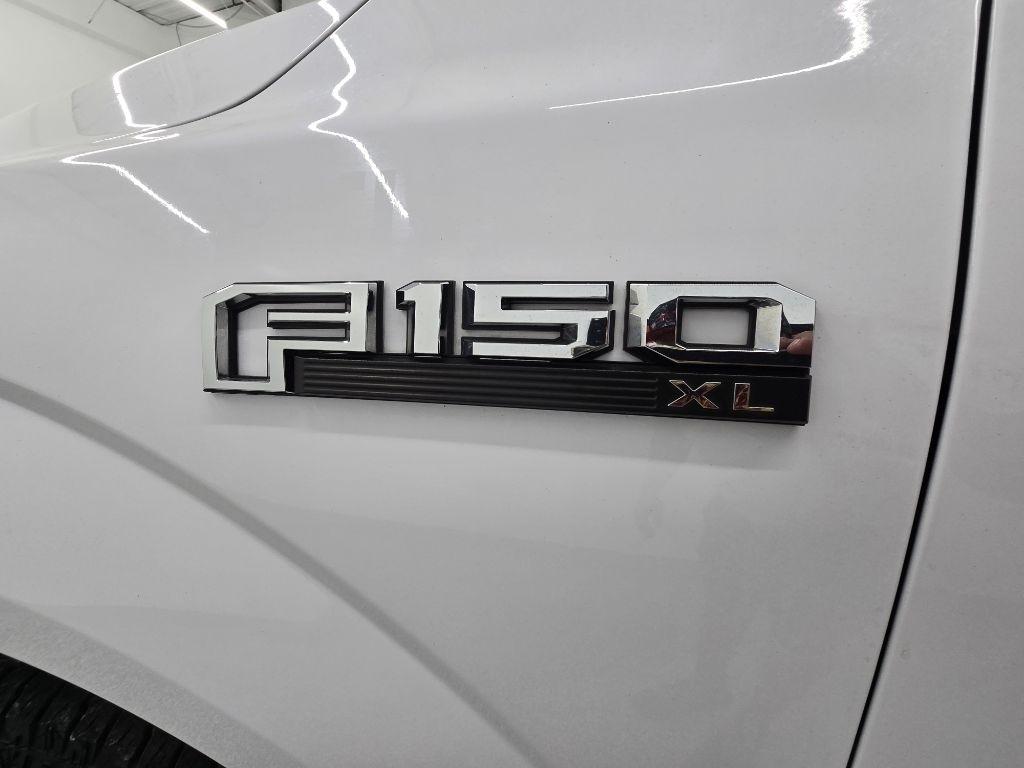 Ford F-150 XL 6.5-ft. Bed 2WD 2019