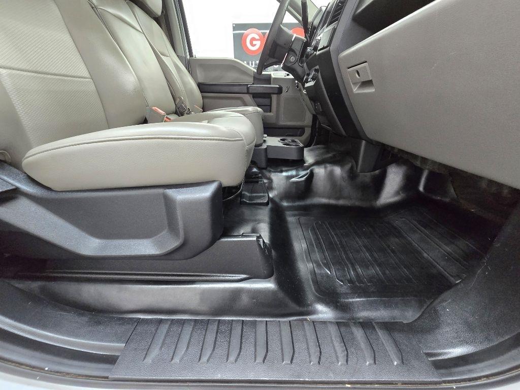 Ford F-150 XL 6.5-ft. Bed 2WD 2019