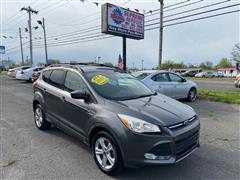 2013 Ford Escape  2013 Ford Escape