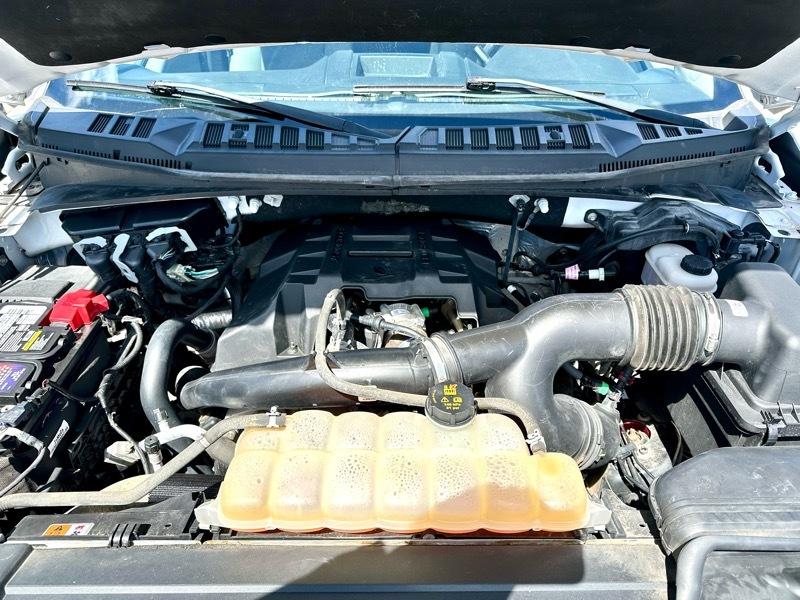 Ford F-150 4WD Reg Cab 141" XL 2018