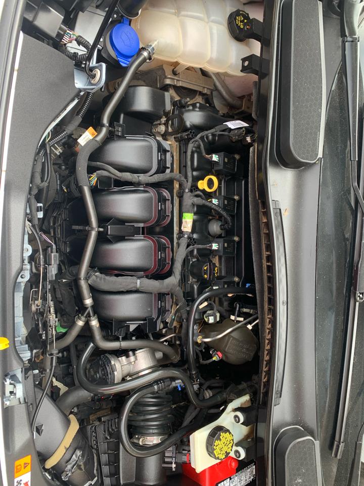 Ford Transit Connect Van XL LWB w/Rear Symmetrical Doors 2019