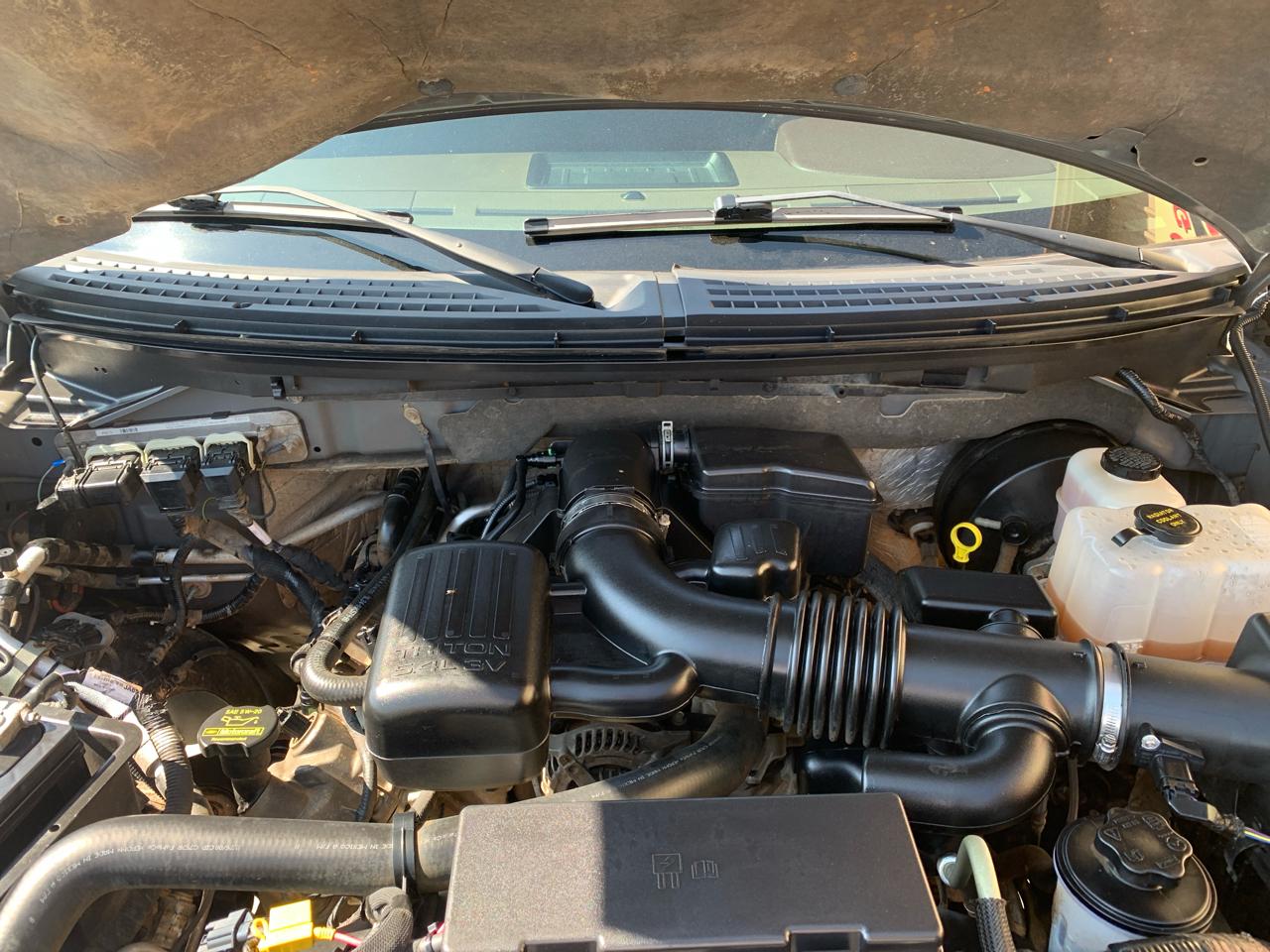 Ford F-150 2WD SuperCrew 145" Platinum 2009