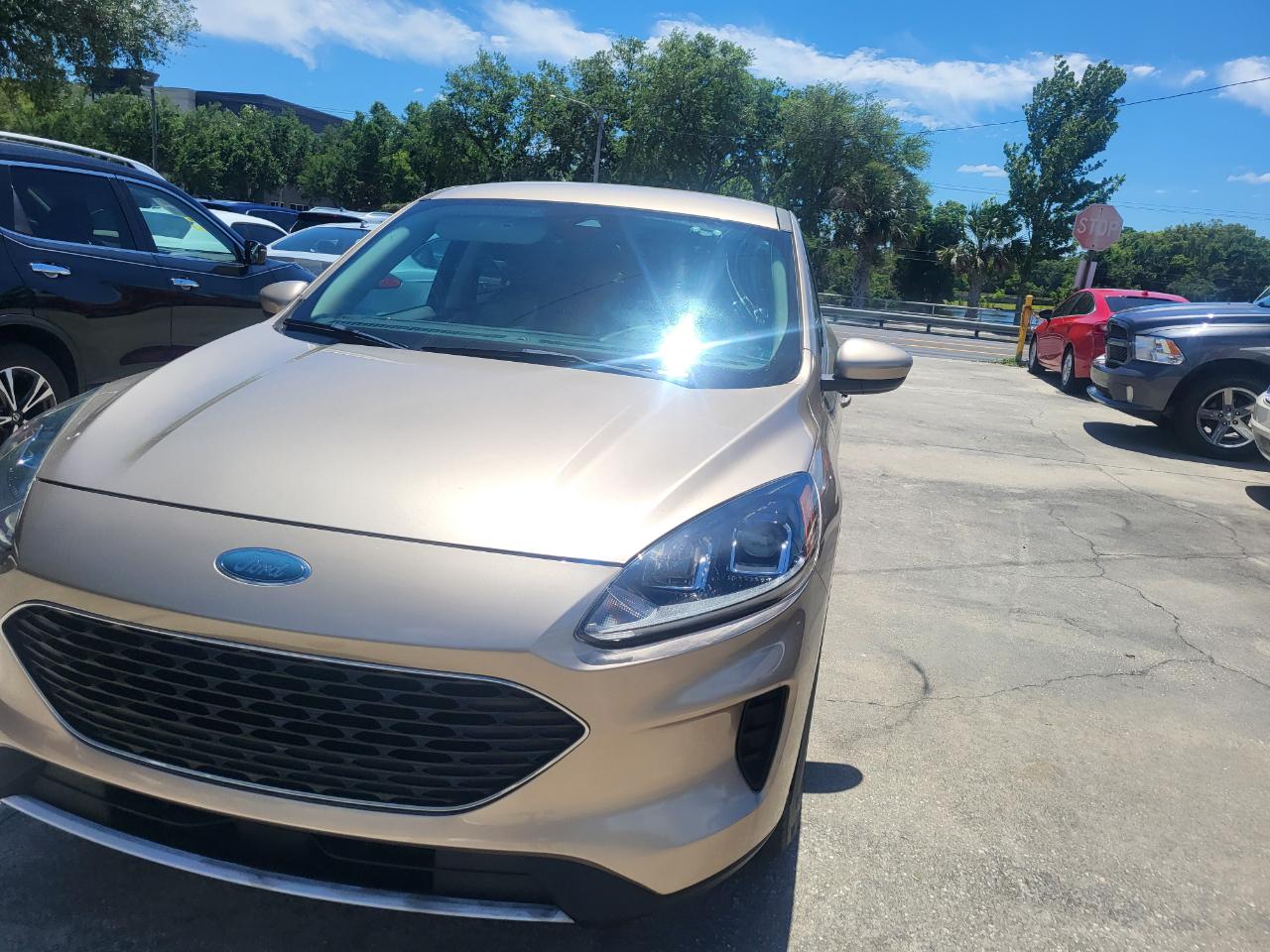 Ford Escape SE 2020