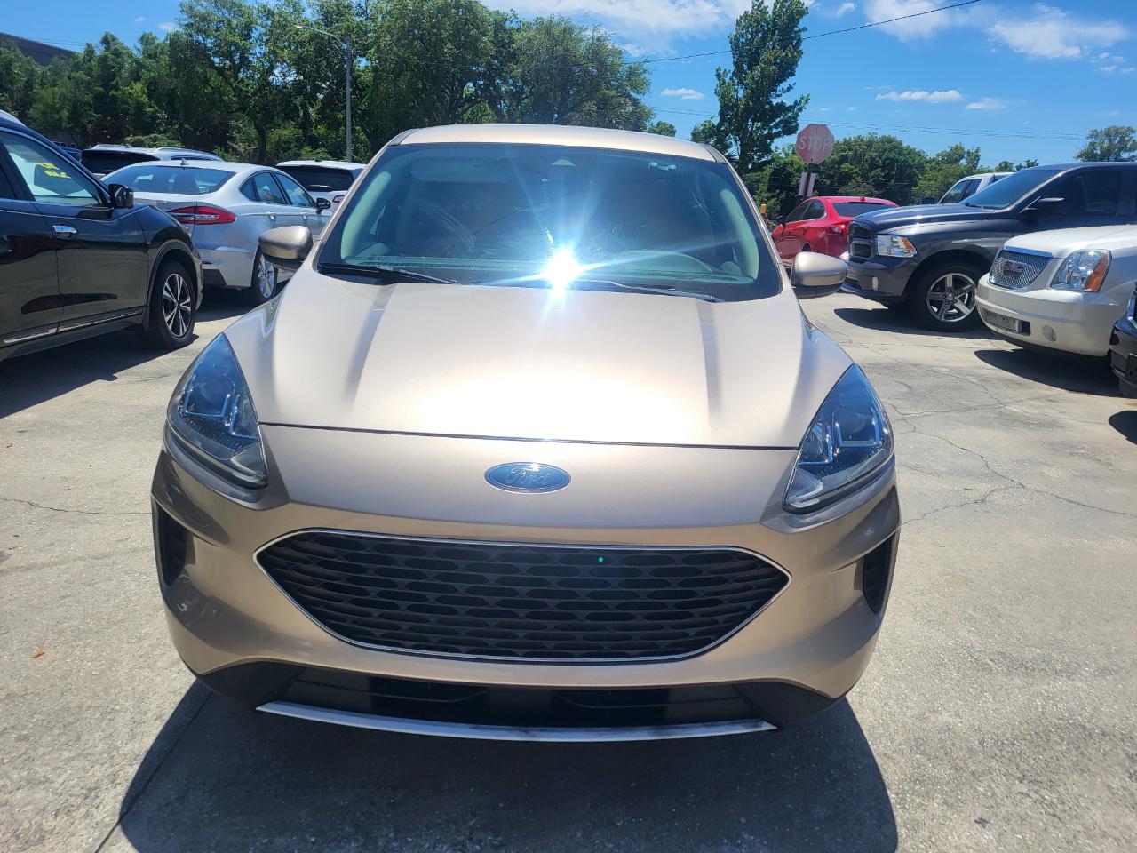 Ford Escape SE 2020