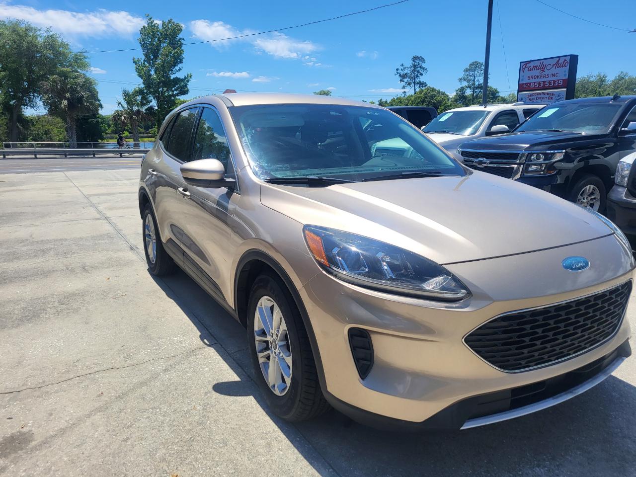 Ford Escape SE 2020