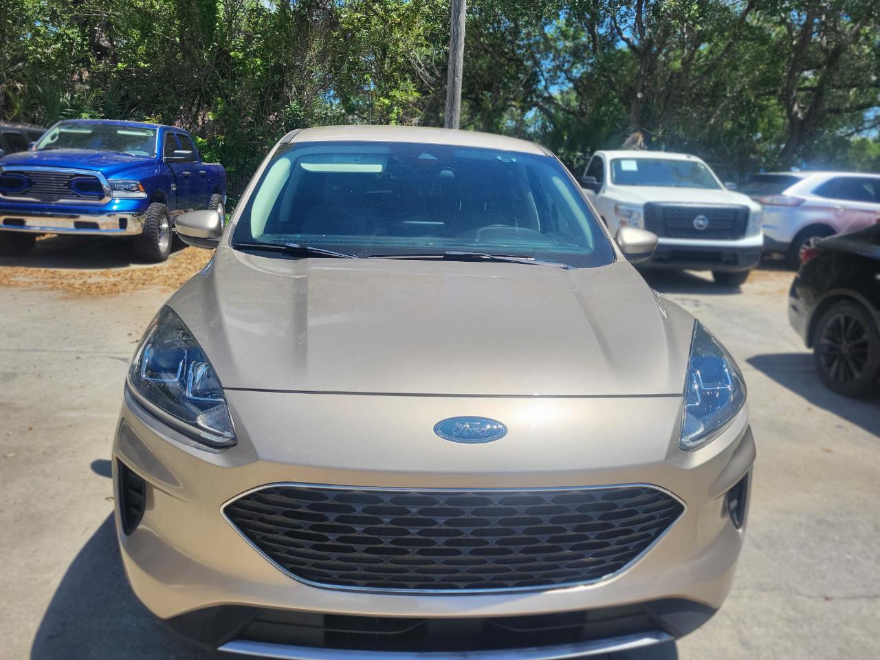 Ford Escape SE 2020